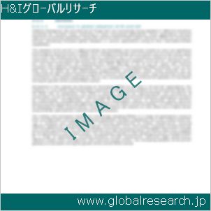 グローバルリサーチ調査レポートのイメージ